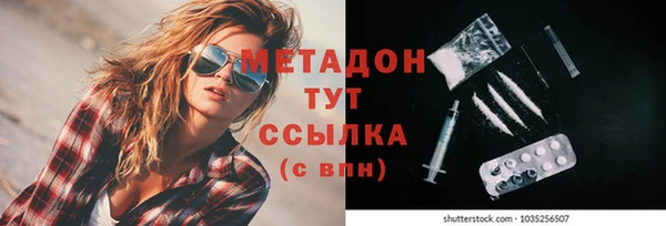сатива Новокубанск