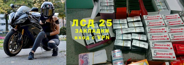 марки lsd Новозыбков