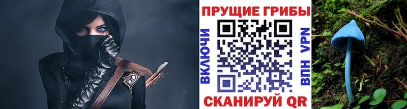 наркошоп дарк нет формула Галлюциногенные грибы ЛСД Сенгилей